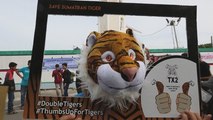 Activistas exigen proteger al tigre de Sumatra en Indonesia