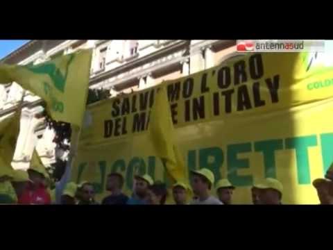 Tg Antenna Sud - Guerra del grano, Cia e Coldiretti con i trattori in strada