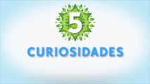 5 Curiosidades Universo SIMS Programa 2