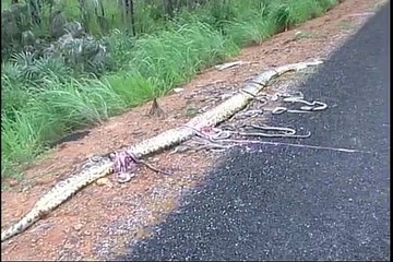 Acidente na BR 364 envolvendo Sucuri, um caminhão e um carro mata 5 pessoas