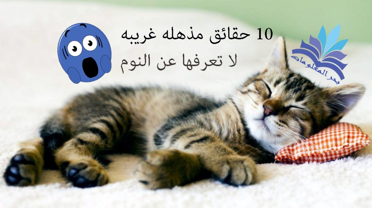 10 حقائق مذهله غريبه لاتعرفها عن النوم