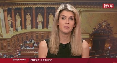 Brexit : Qu'en pensent nos responsables politiques ? - Les matins du Sénat (29/07/2016)