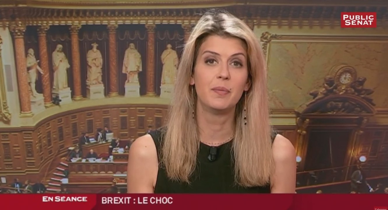 Brexit : Qu'en pensent nos responsables politiques ? - Les matins du Sénat (29/07/2016)