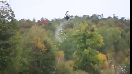 Goose Hunting Videos