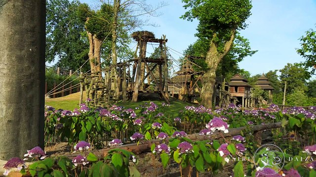 Pairi Daiza : première sortie publique de Gempa