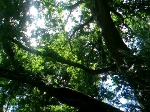 petit coin de paradis