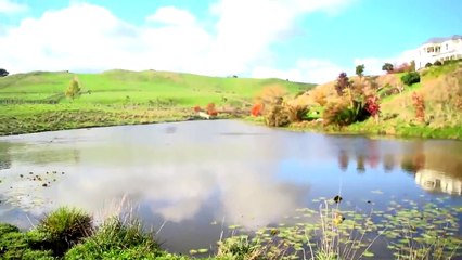 Duck Hunting Videos