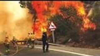 Forests Under Fire Wildfire | Full Documentary HD