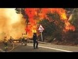 Forests Under Fire Wildfire | Full Documentary HD