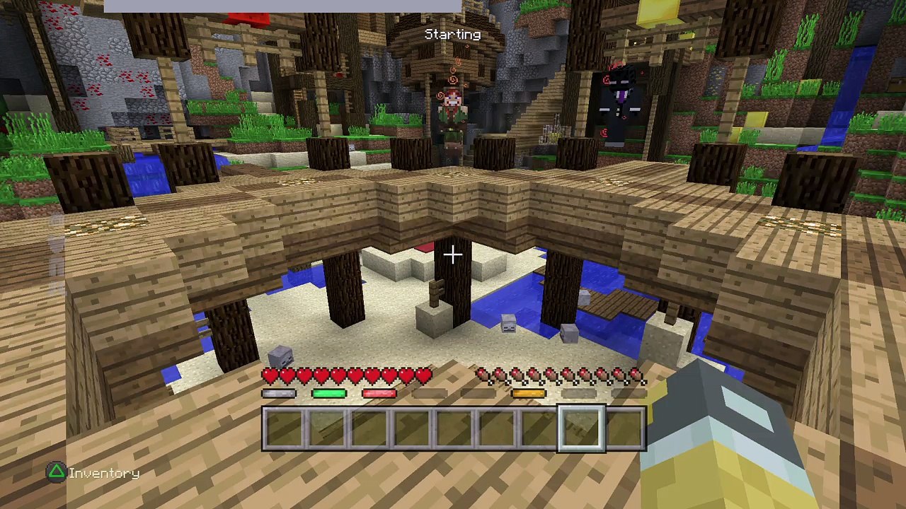 Minecraft: battles