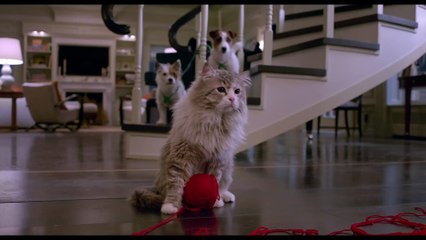 Ma vie de chat (2016)  Complet VF