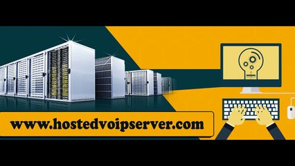 Hosted VoIP Server Company