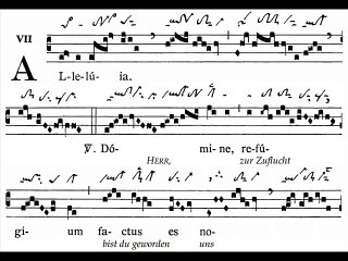 Alleluia Domine refugium,  Dominica XIX TpA (19è TO)