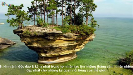 Những Hình Ảnh Kỳ Lạ Bạn Sẽ Không Tin Chúng Đang Tồn Tại