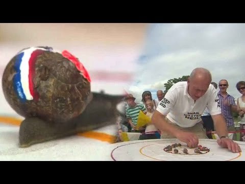 Snails 'slug' it out in championship race