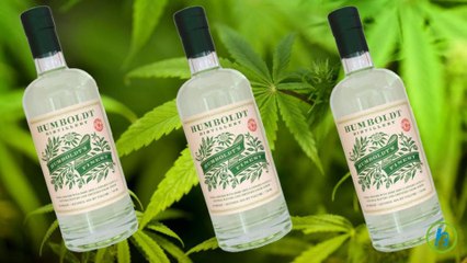 Weed-Infused Vodka, Healthy?