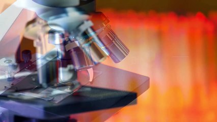 Nurugo Micro, la lente para convertir tu móvil en un microscopio