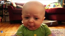 Funny Babies Laughing | Funny Baby Videos 2016 For Kids | (Funny Baby Videos)