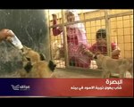 البصرة - شاب يهوى تربية الاسود في بيته           1 - 6 - 2012