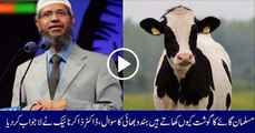 Musalman-Gaye-Cow-Ka-Gosht-Kyon-Khate-Hain-Ek-Hindu-Ka-Sawal-By-Dr-Zakir-Naik-Urdu-2016