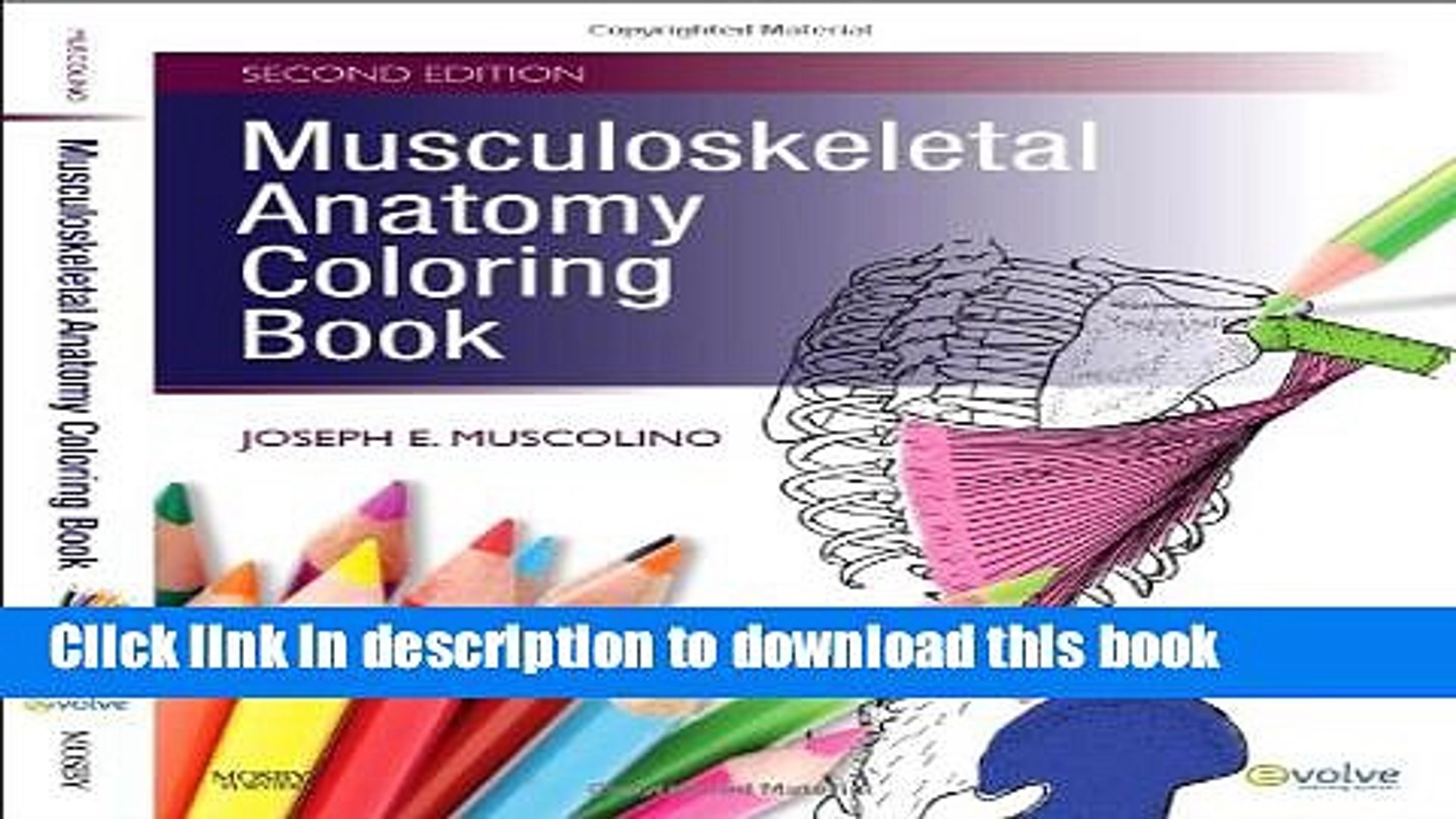 Download Download Books Musculoskeletal Anatomy Coloring Book Pdf Free Video Dailymotion