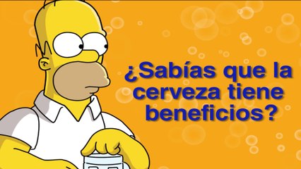¿Cuáles son los beneficios de la cerveza? Salud - [Colombia.com]