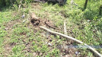 Se salvaron de milagro en accidente de transito