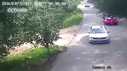 Footage shows shocking tiger attack in Beijing's wildlife park