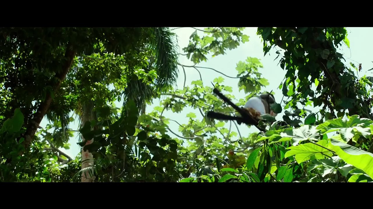 xXx 3  Reactivated  TRAILER (Vin Diesel, Samuel L. Jackson - Action, 2017)