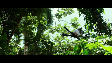 xXx 3  Reactivated  TRAILER (Vin Diesel, Samuel L. Jackson - Action, 2017)