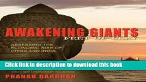 [Read PDF] Awakening Giants, Feet of Clay: Assessing the Economic Rise of China and India Download