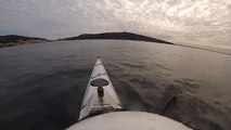 Australian Kayaker Has Close Encounter With a Great White Shark