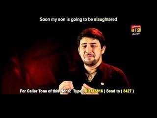 Farhan Ali Waris | Unnees So Hain Zakhm | 2015 Nohay | HD