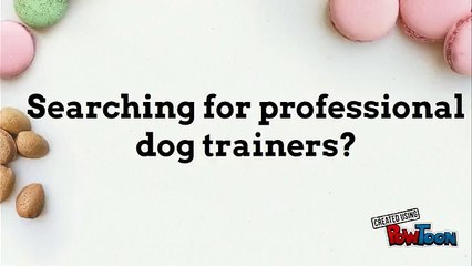 Searching for professional dog trainers