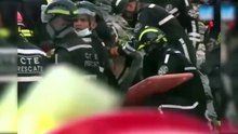 En images : ce chien meurt de fatigue après avoir sauvé la vie à 7 personnes…