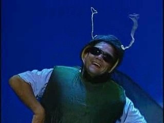 les  Inconnus - Les Insectes Sont Nos Amis