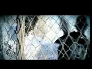 Limsa-Instinct Karnassier  mpeg 58,0 МБ