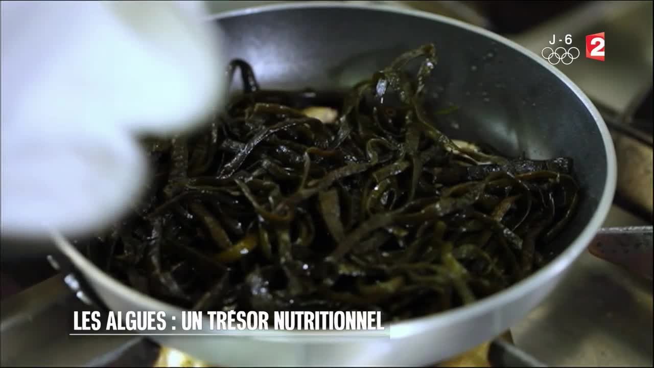 Santé - Les algues : un trésor nutritionnel - 2016/07/30