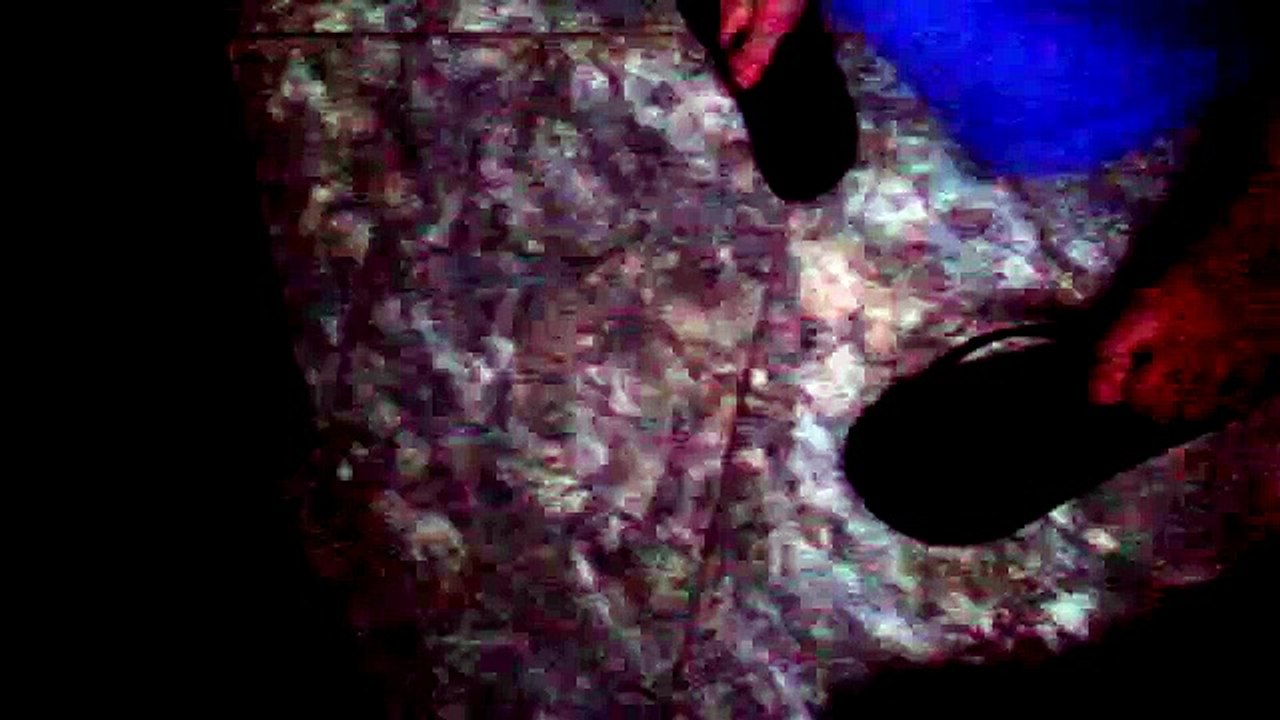 Live video 09/07/2016 17:29:43