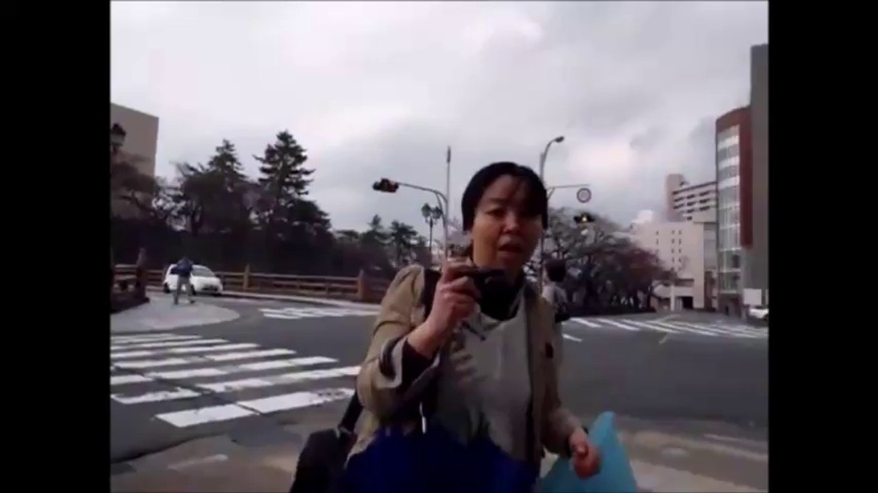 【衝撃映像】キチガイおばさん狂乱の一部始終・・・(逆映像)