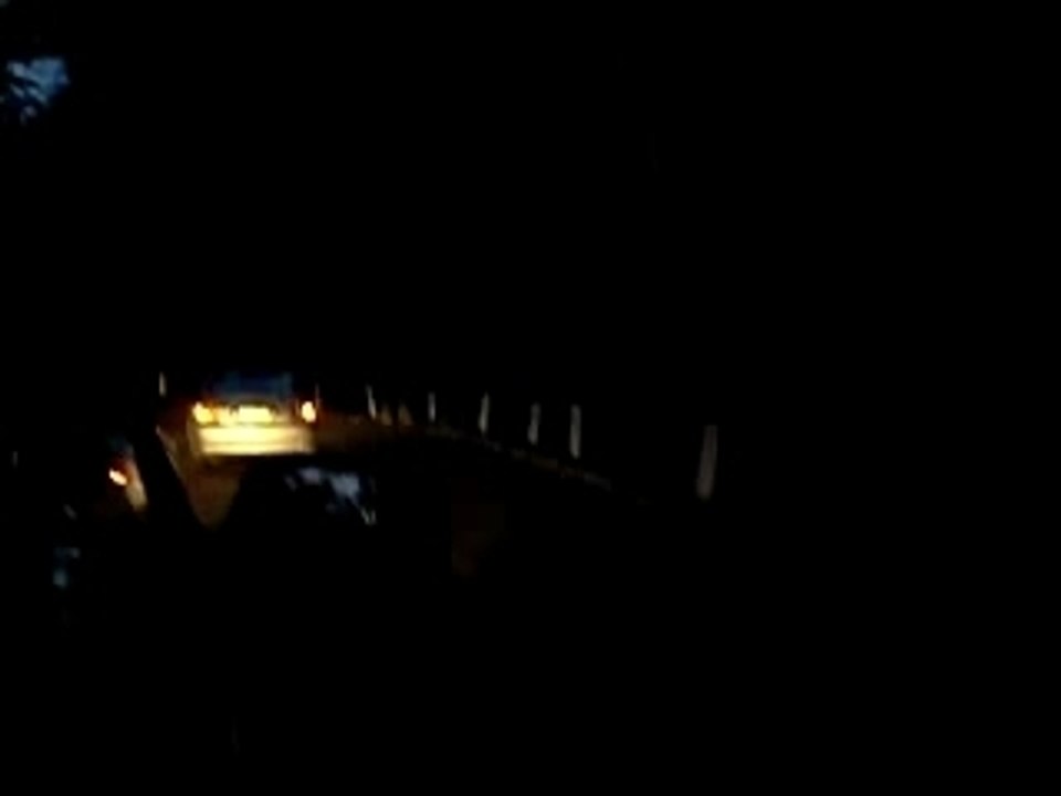 Culs d'éléphants dans la nuit