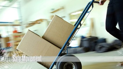 Logistic Solution Company with best service – solanki