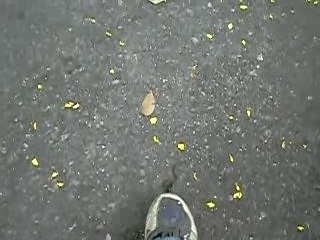 Attaque d'un mini-serpent