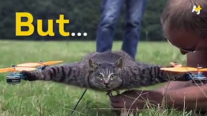 This man makes dead animals fly.