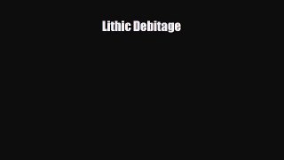 behold Lithic Debitage
