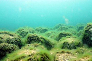 Timelapse filmé par une caméra dans un lac pendant plusieurs mois