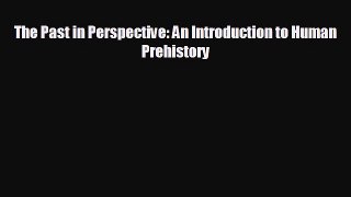 there is The Past in Perspective: An Introduction to Human Prehistory