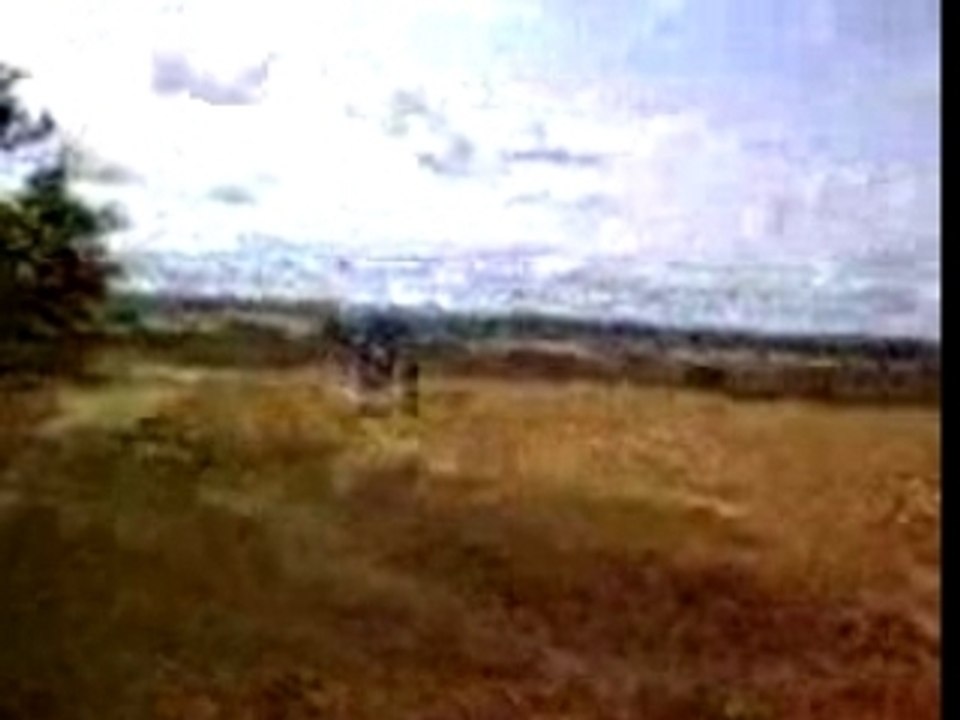Vdo070721-180425