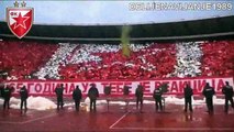 Delije - Koreografija Crvena Zvezda