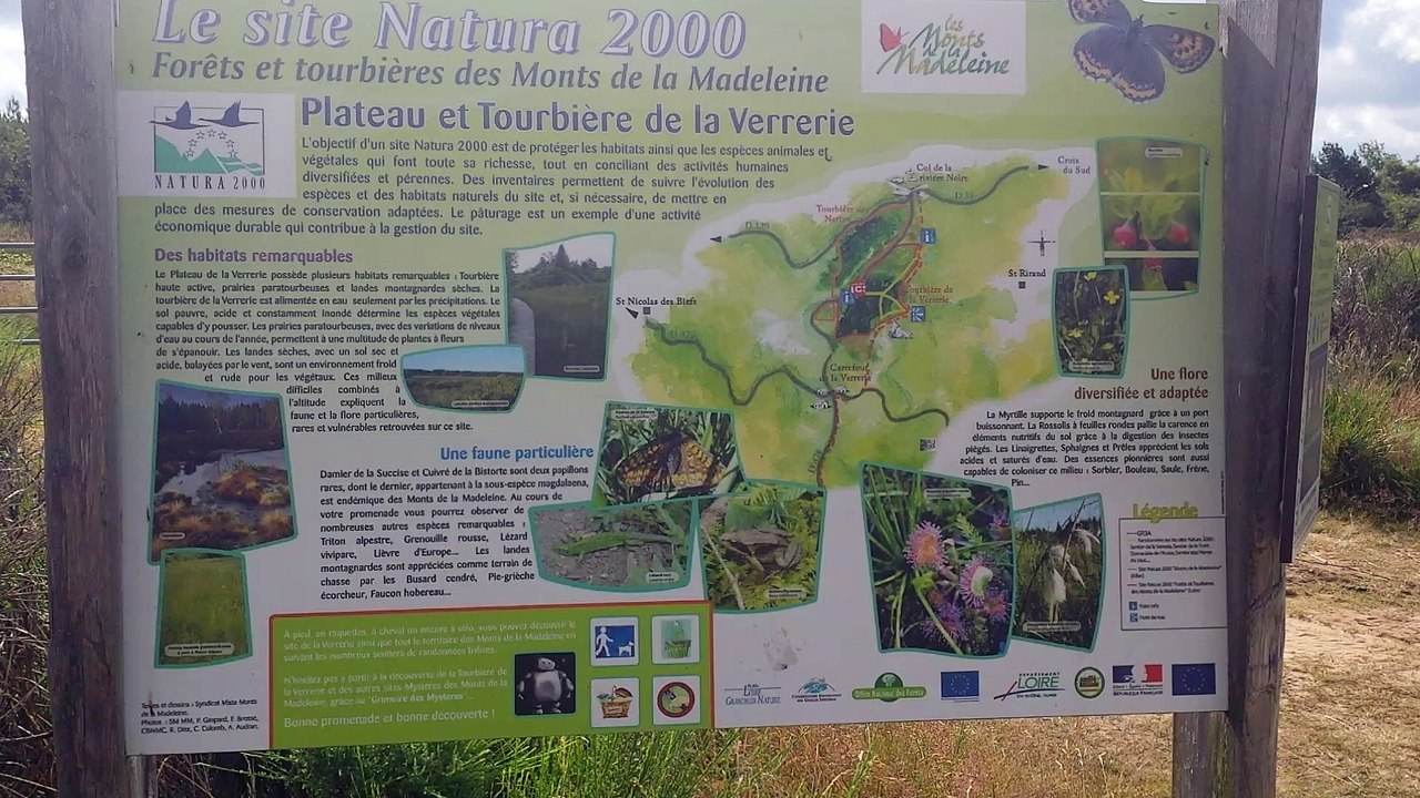 14HF/FFF1493